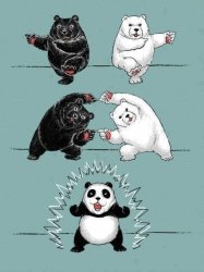 two bear transform panda Meme Template