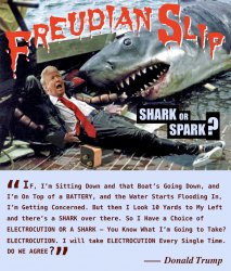 Freudian Slip Shark or Spark Donald Trump Quote Meme Meme Template