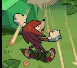knuckles annoyed Meme Template