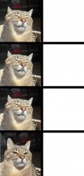 Stepan cat Meme Template