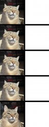 Stepan cat Meme Template