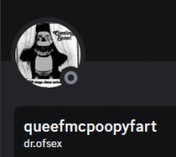 queefmcpoopyfart on Discord Meme Template