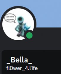 _Bella_ on Discord Meme Template