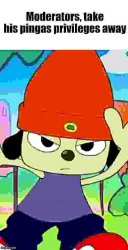 Mods, take his pingas privileges away Meme Template