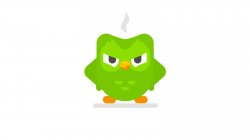 Duolingo Owl Meme Template