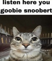 listen here you goobie snoobert Meme Template