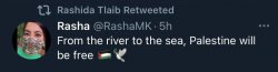 Rashida Tlaib from the river to the sea Meme Template