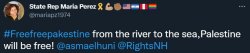 Maria Perez from the river to the sea, Palestine JPP Meme Template