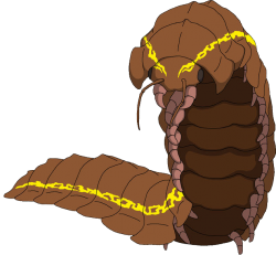 Arthropleura (Male) Meme Template