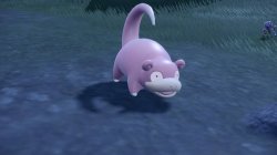 slowpoke Meme Template