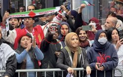 Pro Hamas Protest NYC with Swastika Meme Template