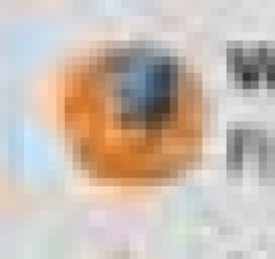 windows 2000 and firefox icon Meme Template