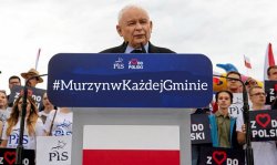 kaczyński murzyn w każdej gmienie Meme Template