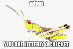 cricket Meme Template