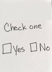 check one yes or no Meme Template