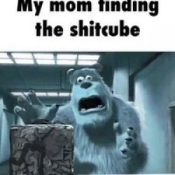my mom finding the shitcube Meme Template