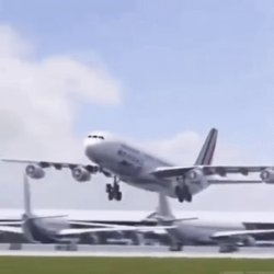 Airplane Dancing GIF Meme Template