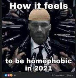 how it feels to be homophobic in 2021 Meme Template