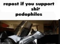 Repost if you support shit pedophiles Meme Template