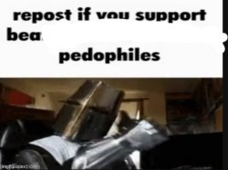 Repost if you support bea pedophiles Meme Template