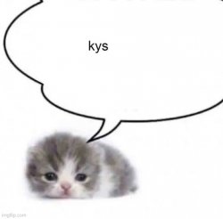 cat kys Meme Template
