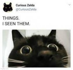 things i seen them Meme Template