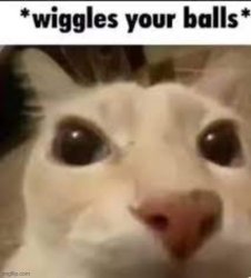 wiggles your balls Meme Template