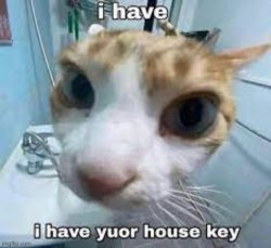 i have yuor house key Meme Template