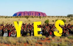 Indigenous 'Voice' Referendum Meme Template