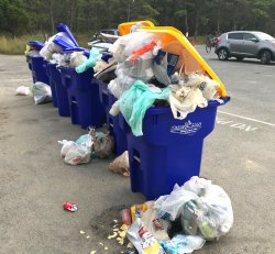 Trash Meme Template