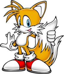 Tails The Fox Meme Template