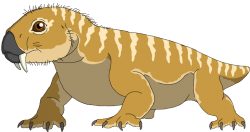 Diictodon (Male) Meme Template