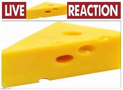 Live Cheese Reaction Meme Template