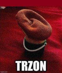 TRZON [spacing] Meme Template