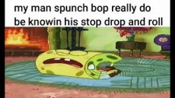 My man spunch bop really do be knowin his stop drop and roll Meme Template