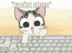*racist slurs* Meme Template