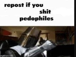 Repost if you shit pedophiles Meme Template