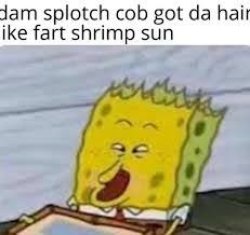 Dam splotch cob got da hair like fart shrimp sun Meme Template