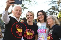 Ex-prime minister Malcolm Turnbull Meme Template