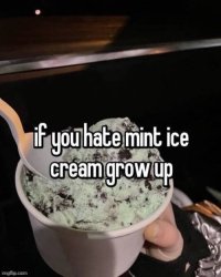 If you hate mint ice cream grow up Meme Template