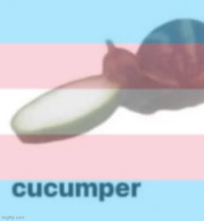 Trans cucumper Meme Template