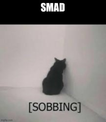Smad Meme Template