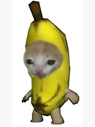 Happy Banana Cat Meme Template