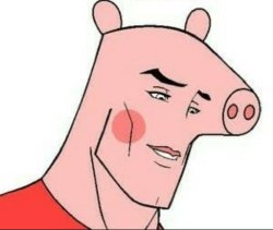 Pig Meme Template
