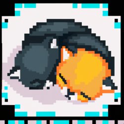 Cute kitten’s sleeping curled up Meme Template