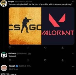 Csgc valorant Meme Template