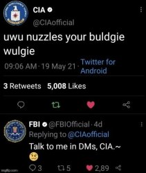 Uwu cia Meme Template