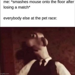 Smashes mouse Meme Template