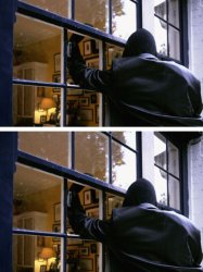 Burglar Meme Template