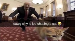 Joe chasing a cat Meme Template